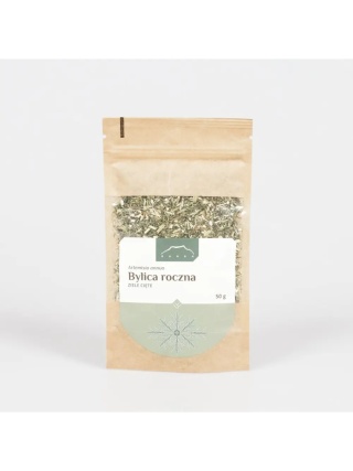 Bylica roczna ( Artemisia annua ) 50 g Nanga