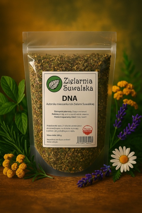 DNA – mieszanka ziołowa 200 g wspierająca regenerację komórkową i odporność DNA – mieszanka ziołowa 200 g wspierająca regenerację komórkową i odporność