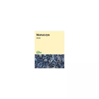 Flos Morszczyn 50 g – morszczyn pęcherzykowaty